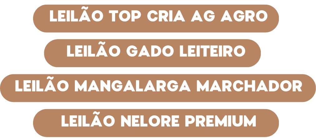 expo guanambi (13)